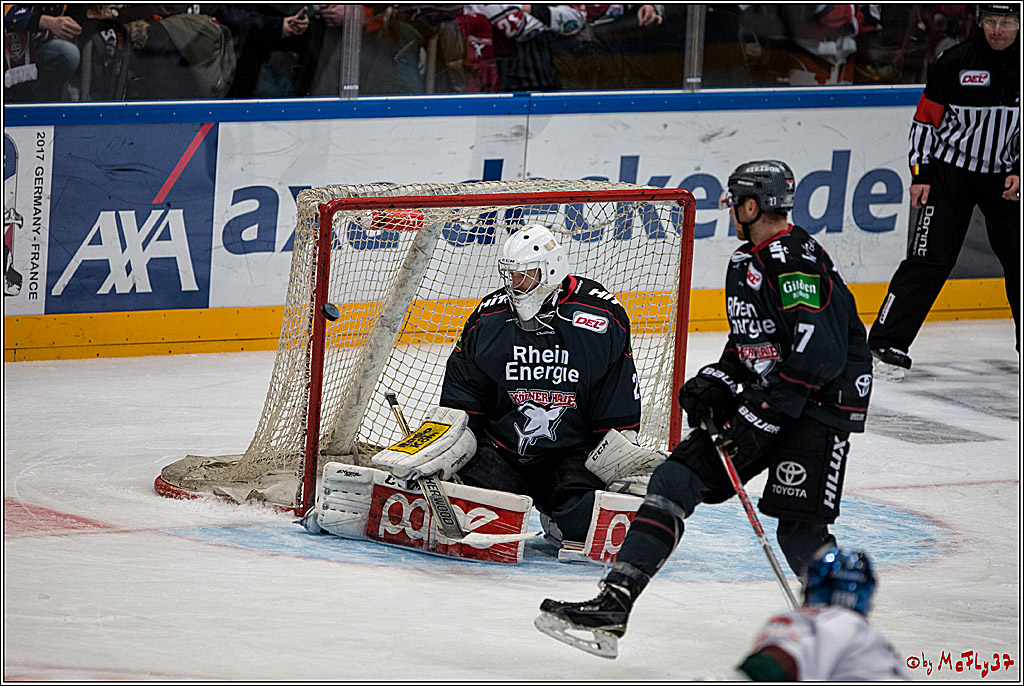 DEL, Koelner Haie - Augsburger Panther, 13.01.2017